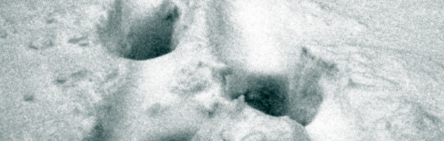 Следы на снегу