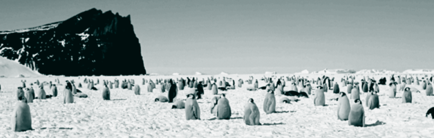 Четвёртый полюс одинокого странника