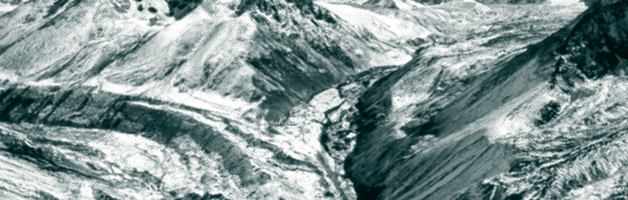 Мы падаем, встаём и снова идём…