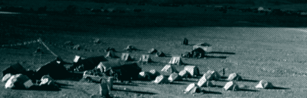 Гид в неизвестность